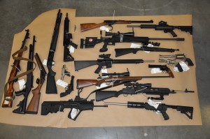 Gun Seizure