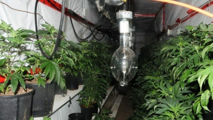 CFSEU-BC uncovers another underground marijuana grow-op