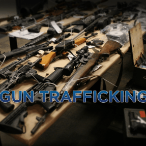 Traffic Stop Leads to Gun Seizure and Arrest