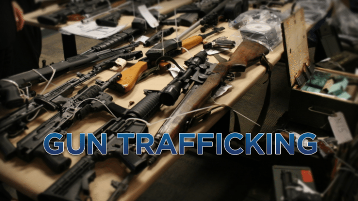 Traffic Stop Leads to Gun Seizure and Arrest