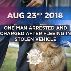 One Man Arrested and Charged after fleeing in Stolen Vehicle