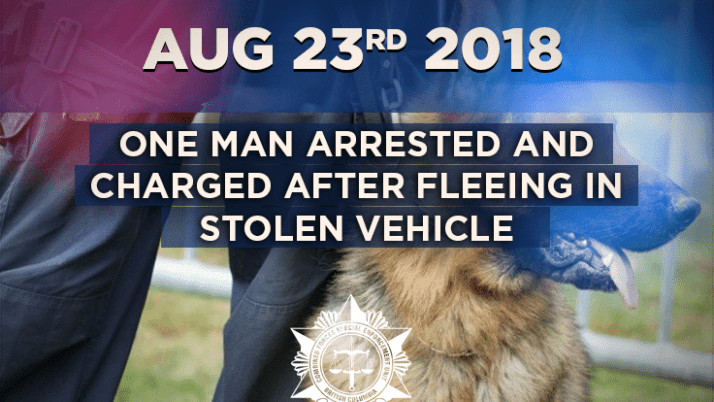 One Man Arrested and Charged after fleeing in Stolen Vehicle