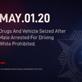 Drugs And Vehicle Seized After Male Arrested For Driving While Prohibited