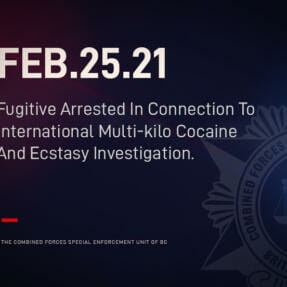 Fugitive Arrested In Connection To International Multi-kilo Cocaine And Ecstasy Investigation.