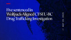 Five sentenced in Wolfpack-Aligned CFSEU-BC Drug Trafficking Investigation