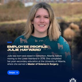 Employee Profile: Julie Hayward